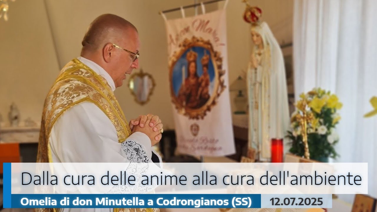 🎙️Omelia di don Minutella – Dalla cura delle anime alla cura dell’ambiente