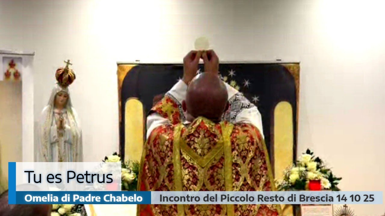 🎙️Omelia di Padre Chabelo – Tu es Petrus